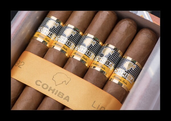 Cohiba Siglo IV - 25 Box