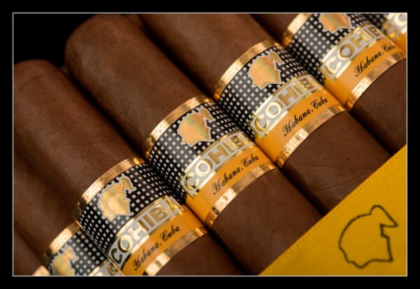 Cohiba Siglo VI - Single