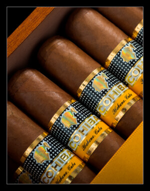 Cohiba Siglo VI - 10 Box